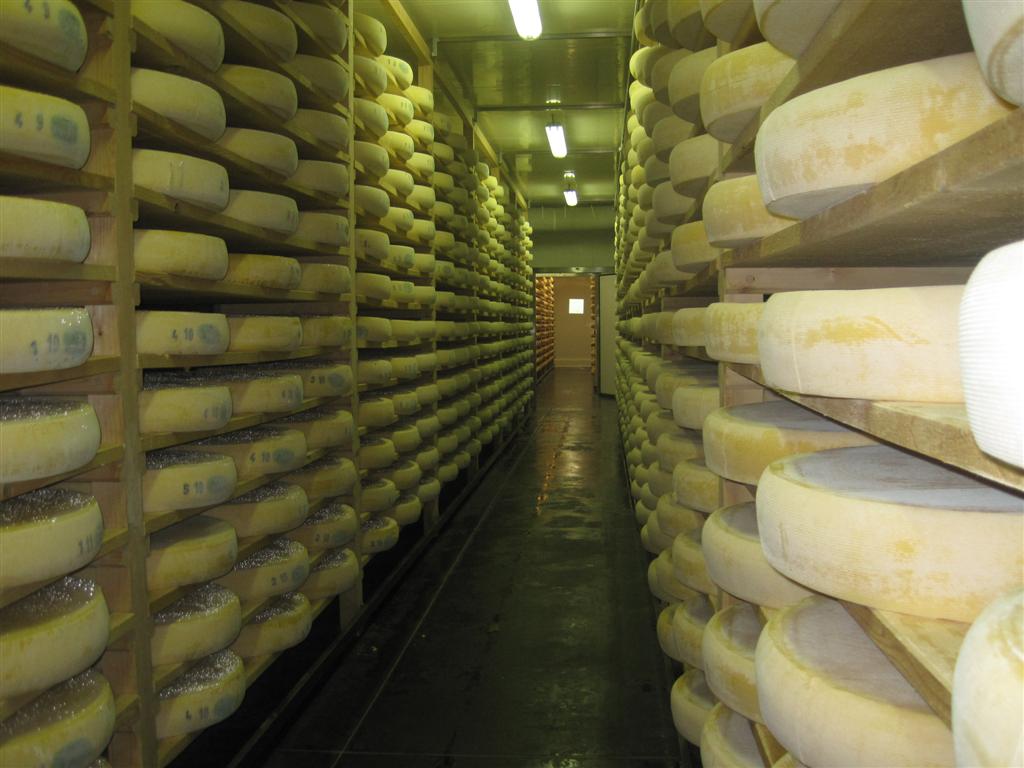 Le Fromage Mûrit Dans Une Cave à Fromage Commerciale