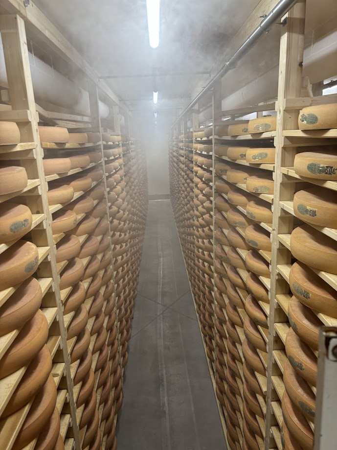 cave de garde 90 tonnes de Comté